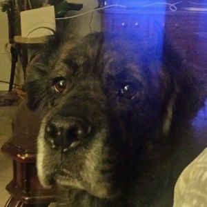 Meet your Posher, Robin